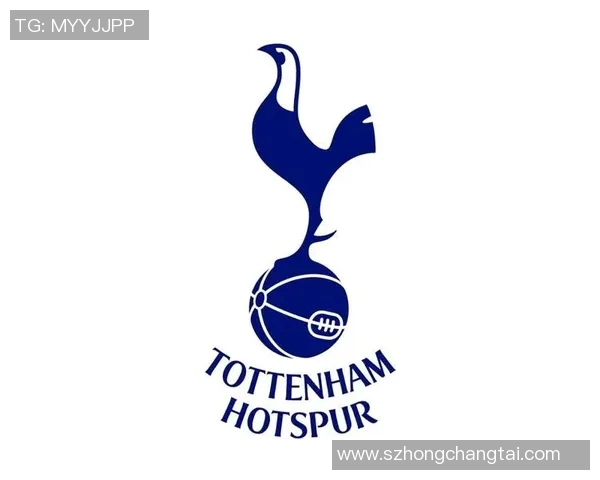 托特纳姆热刺足球俱乐部的辉煌历程与未来发展展望