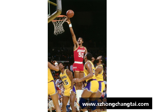 NBA 兽人现象：当巨人踏上篮球场！