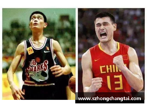 NBA冠军旗：历年巅峰时刻与传奇战绩盘点