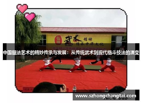 中国腿法艺术的精妙传承与发展：从传统武术到现代格斗技法的演变