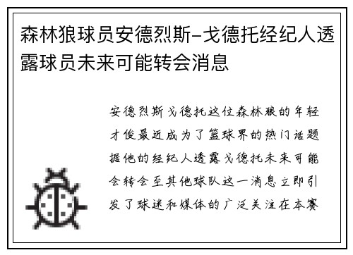 森林狼球员安德烈斯-戈德托经纪人透露球员未来可能转会消息